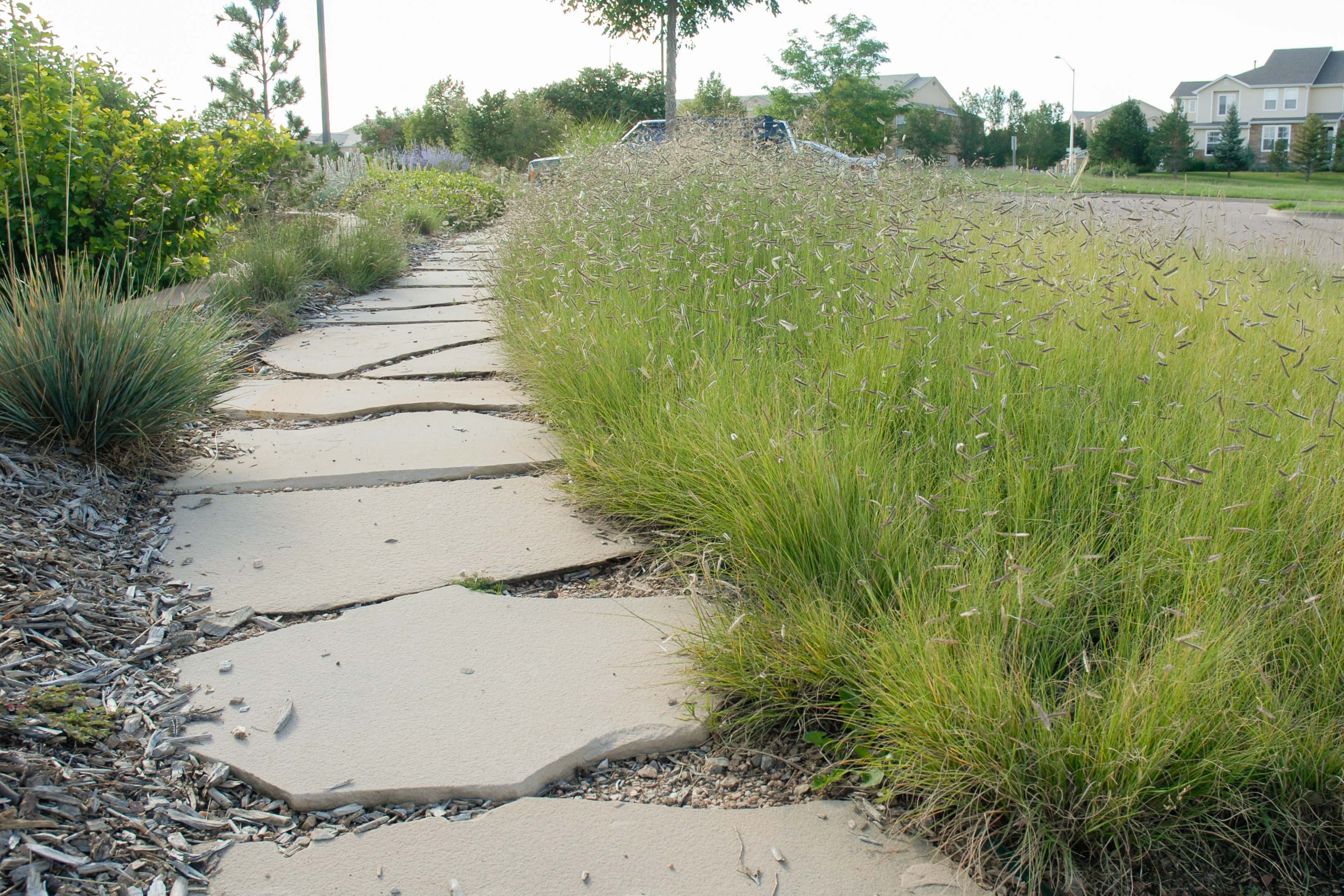 Cottonwood Creek Garden